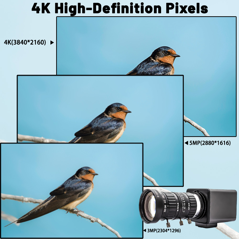 Fotocamera Ultral 4K USB3.0 Se - Raspberry Pi Global Shutter Camera Imx296 recensione e prezzo